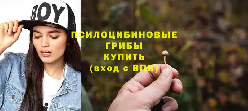 Галлюциногенные грибы Cubensis  купить наркотики сайты  МЕГА вход  Бавлы 